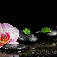 杭州水磨养生：桑拿养生服务真实感受分享